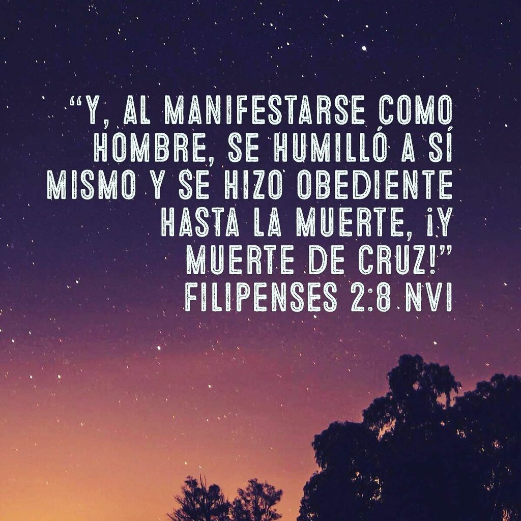 Omar Melendez tweet media