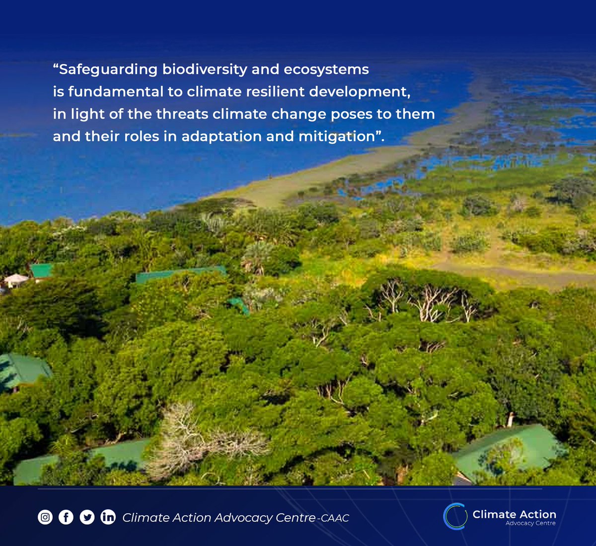 There is a need for the protection of our ecosystems therefore we as individuals must work together to safeguard our environment.
#CAAC 
#ecosystemprotection 
#Climatechangeawareness