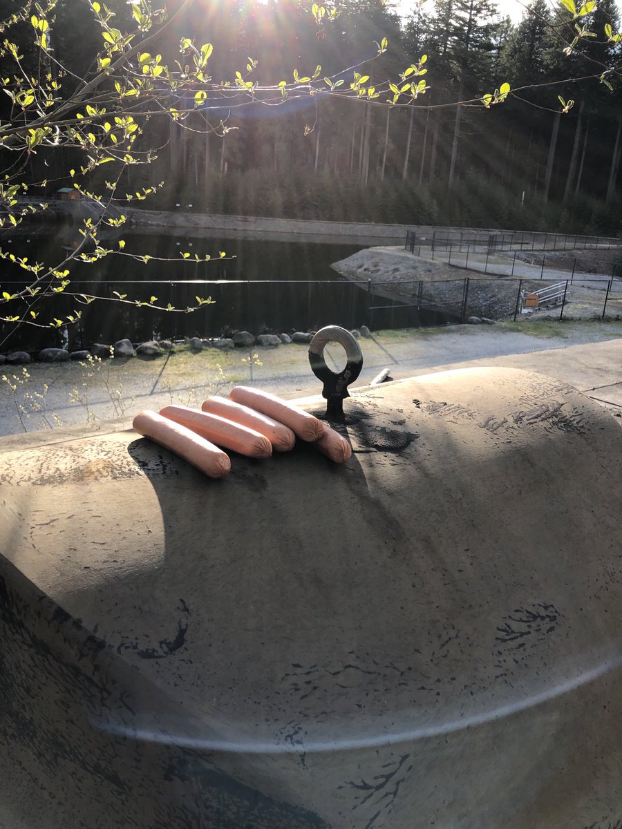 Karen McCredie (@karenmccredie) on Twitter photo Watch out dog walkers in Lynn Headwaters - someone put out hot dogs behind a fenced area so that dogs would get to them before a person could remove them. <a href="/LynnValleyLife/">LynnValleyLife</a> <a href="/LynnHeadwaters/">Lynn Headwaters</a> <a href="/NorthShoreNews/">North Shore News</a> Watch out dog walkers in Lynn Headwaters - someone put out hot dogs behind a fenced area so that dogs would get to them before a person could remove them. <a href="/LynnValleyLife/">LynnValleyLife</a> <a href="/LynnHeadwaters/">Lynn Headwaters</a> <a href="/NorthShoreNews/">North Shore News</a>