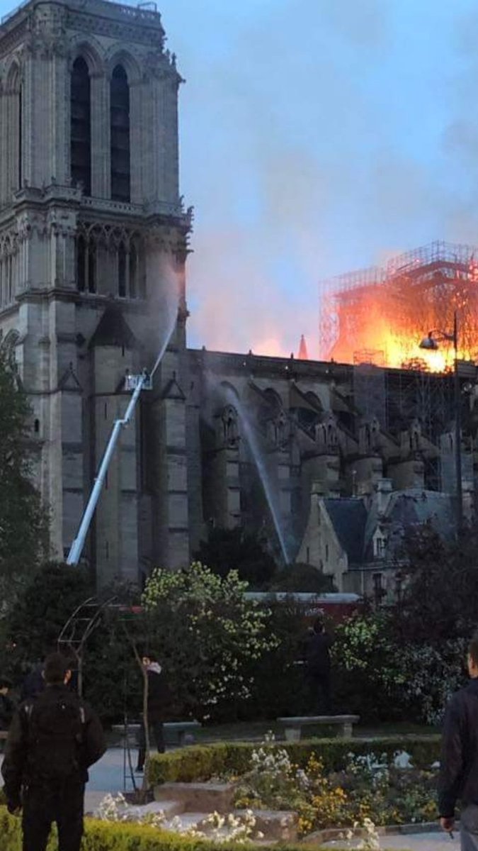 Éternelle Notre-Dame tweet media