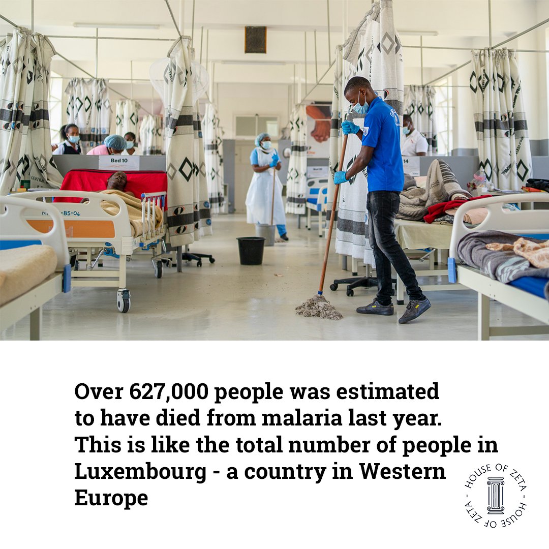 TheHOZNetwork's tweet photo. At one point in our lives, we've seen people or ourselves sick with malaria. Why the continued prominence of the disease and are people talking about it enough? 

To raise more awareness about the disease on World Malaria Day, join us here - https://t.co/AKia3aNWJI https://t.co/COVh03ueUp