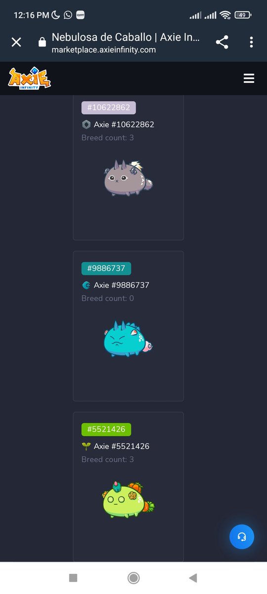 Becas Viajeras Oficial ✈️🌴 tweet media