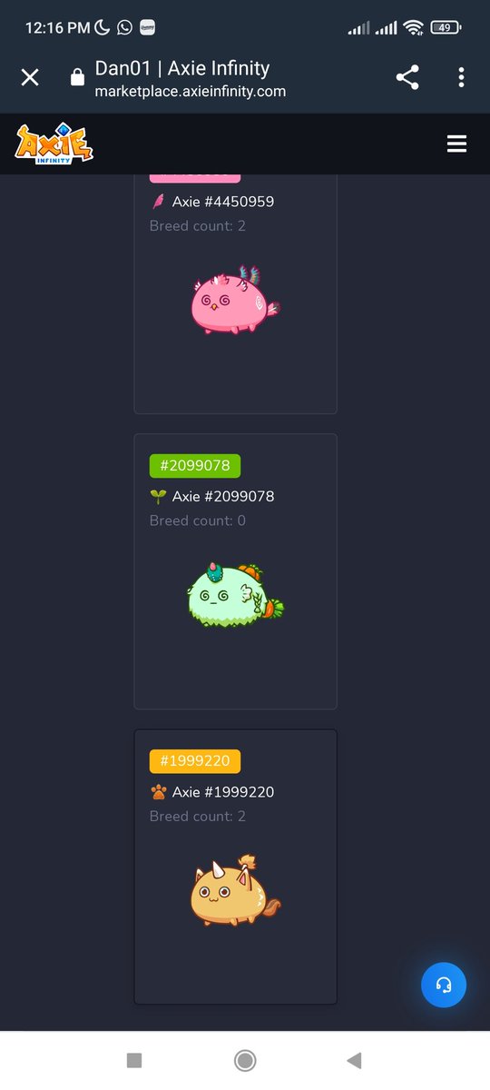 Becas Viajeras Oficial ✈️🌴 tweet media