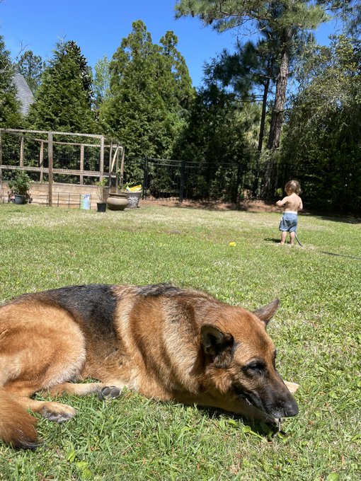 Happy Friday ✨ https://t.co/LCIGMumVfC<a href="/tag/triller"class="tags"><span>#triller</span></a>