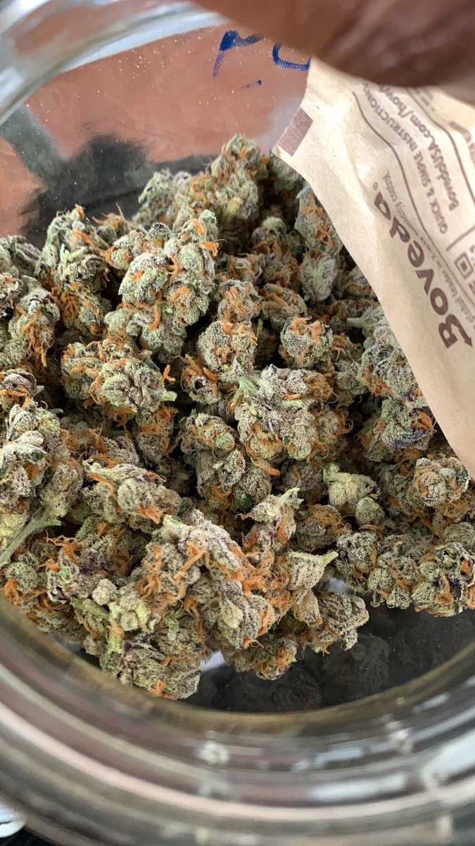 fineboysnipet's tweet photo. @wizkhalifa It's time for good weed dm for business talk https://t.co/zSeWg2Qk7S