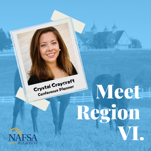 Meet our Conference Planner, Crystal Craycraft! We're in for a treat as Region VI will be joining Region VIII in Pittsburgh, PA this fall.