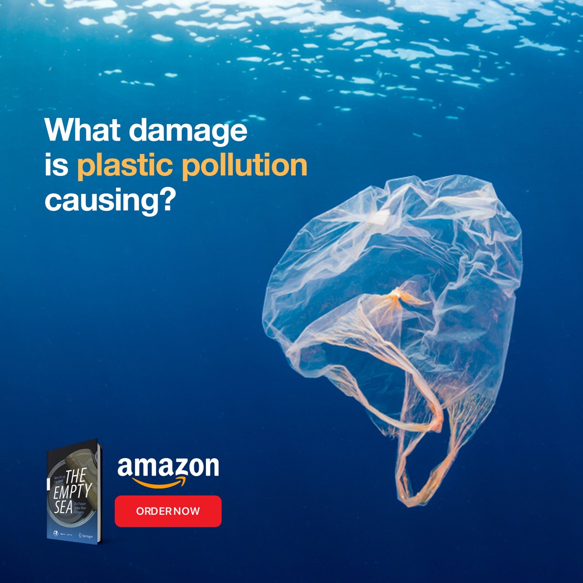 UgoBardi's tweet photo. Plastic pollution causes around $13 billion in damages to fishermen, shipping, and other related businesses. 

Order Now:
https://t.co/0EtZpIa9Wl 

#ugobardi #theemptysea #artisticbook #oceanlife #amazon #blueeconomy #book https://t.co/ARwlK0eOa0