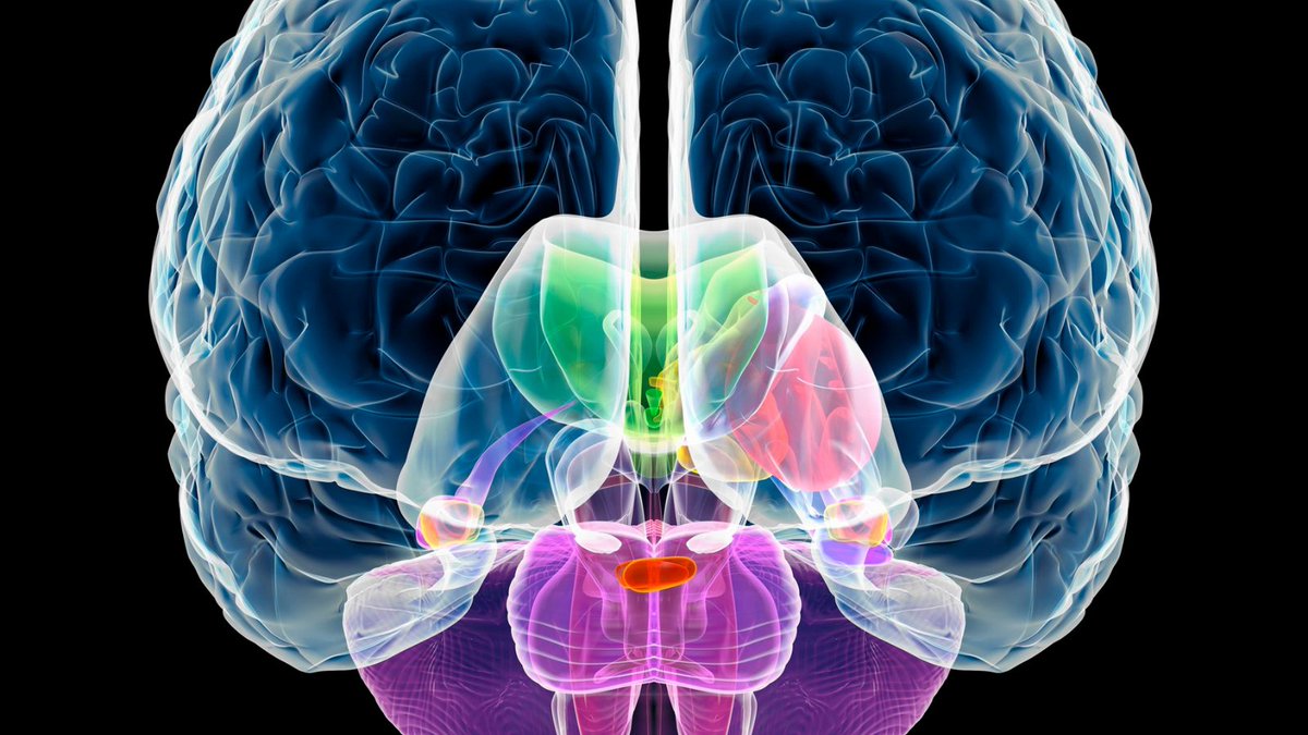 4MOM.ORG tweet media