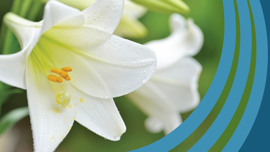 Wishing you all a wonderful Good Friday and Happy Easter weekend!