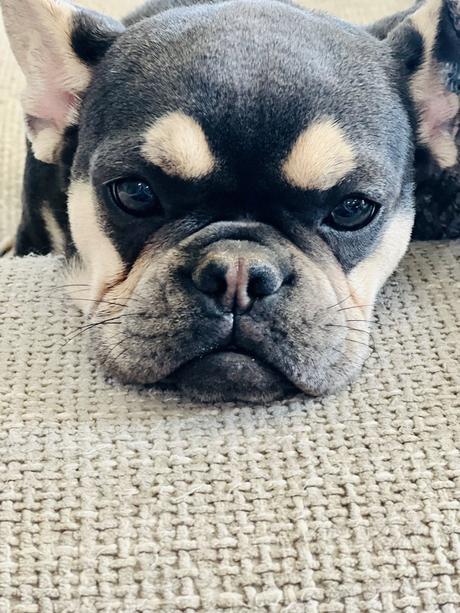 tfunny25's tweet photo. How we feel after that @unionlosangeles drop this morning https://t.co/EM6GZBTrP3