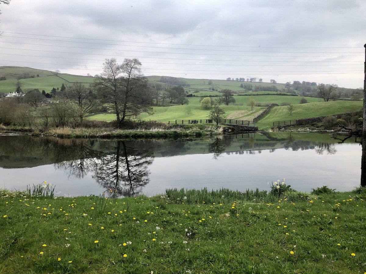 Tom Waterton tweet media