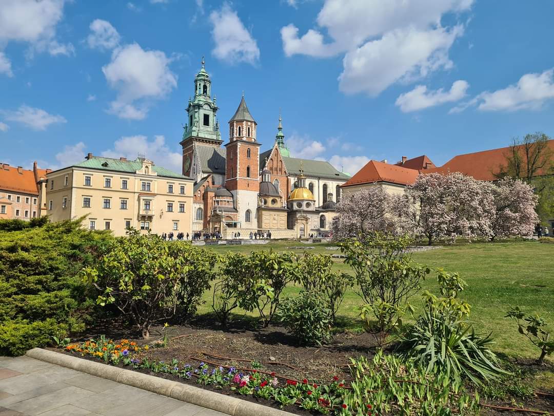 CMAHistory tweet media