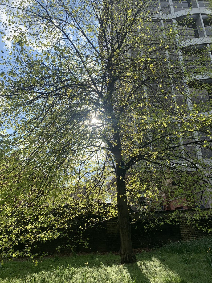 Paul O'Toole (@porlotoole) on Twitter photo 