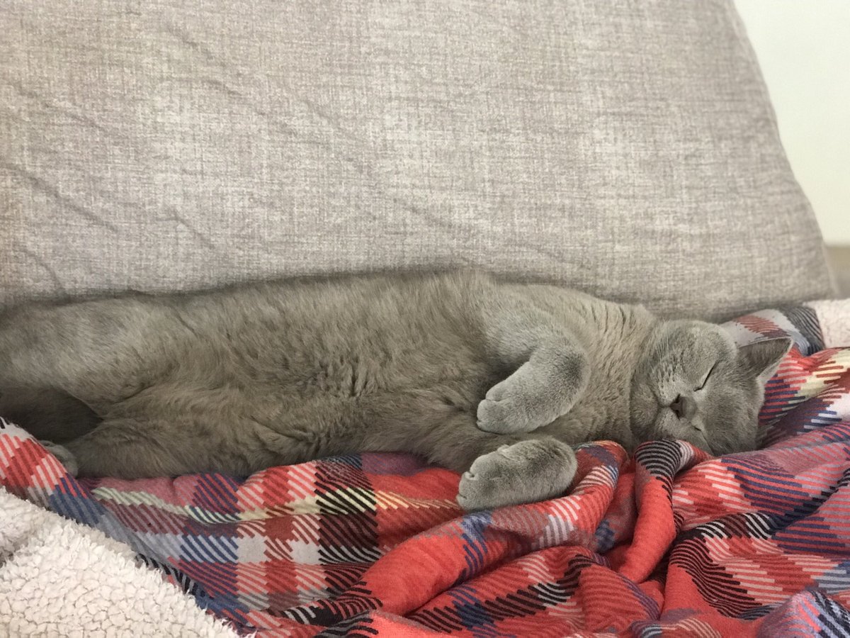 yüramda neley göydüküme inanamaşsınıs