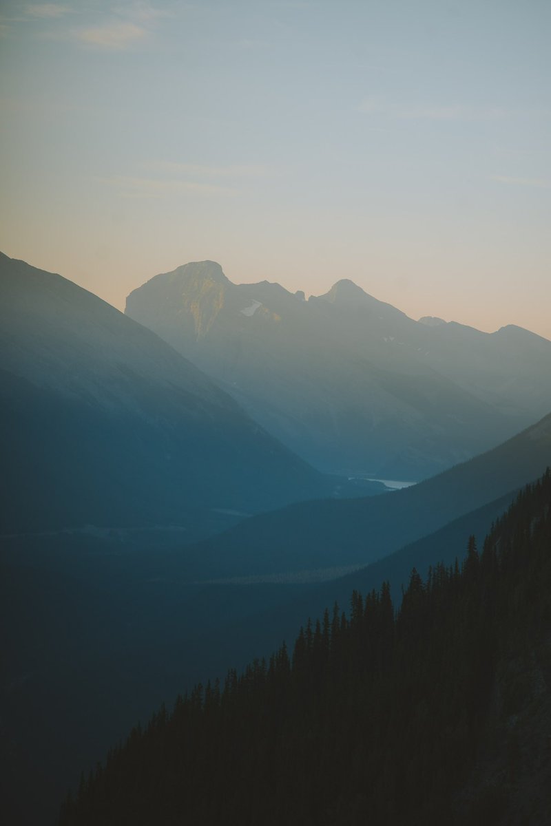 PeteOHaraPhoto's tweet photo. GM from a misty morning in Banff https://t.co/6bImMjcv5w
