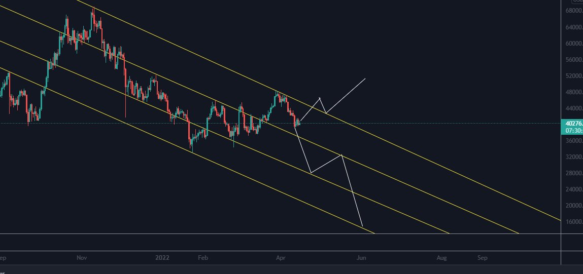 look at these nice lines bitcoin is in a downtrend tunnel since ath it's did time to bounce or it will go all the way down?