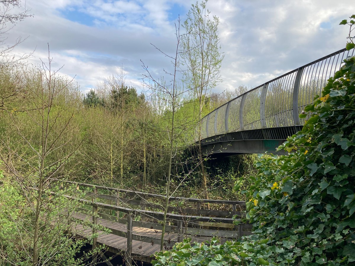 Sol solo tweet media