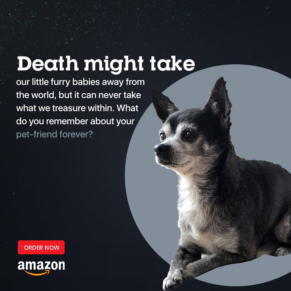 Finding Mr George tweet media