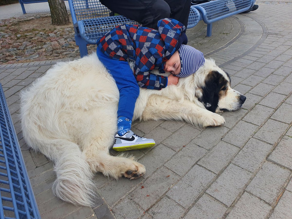 Aleksandar Djeric tweet media