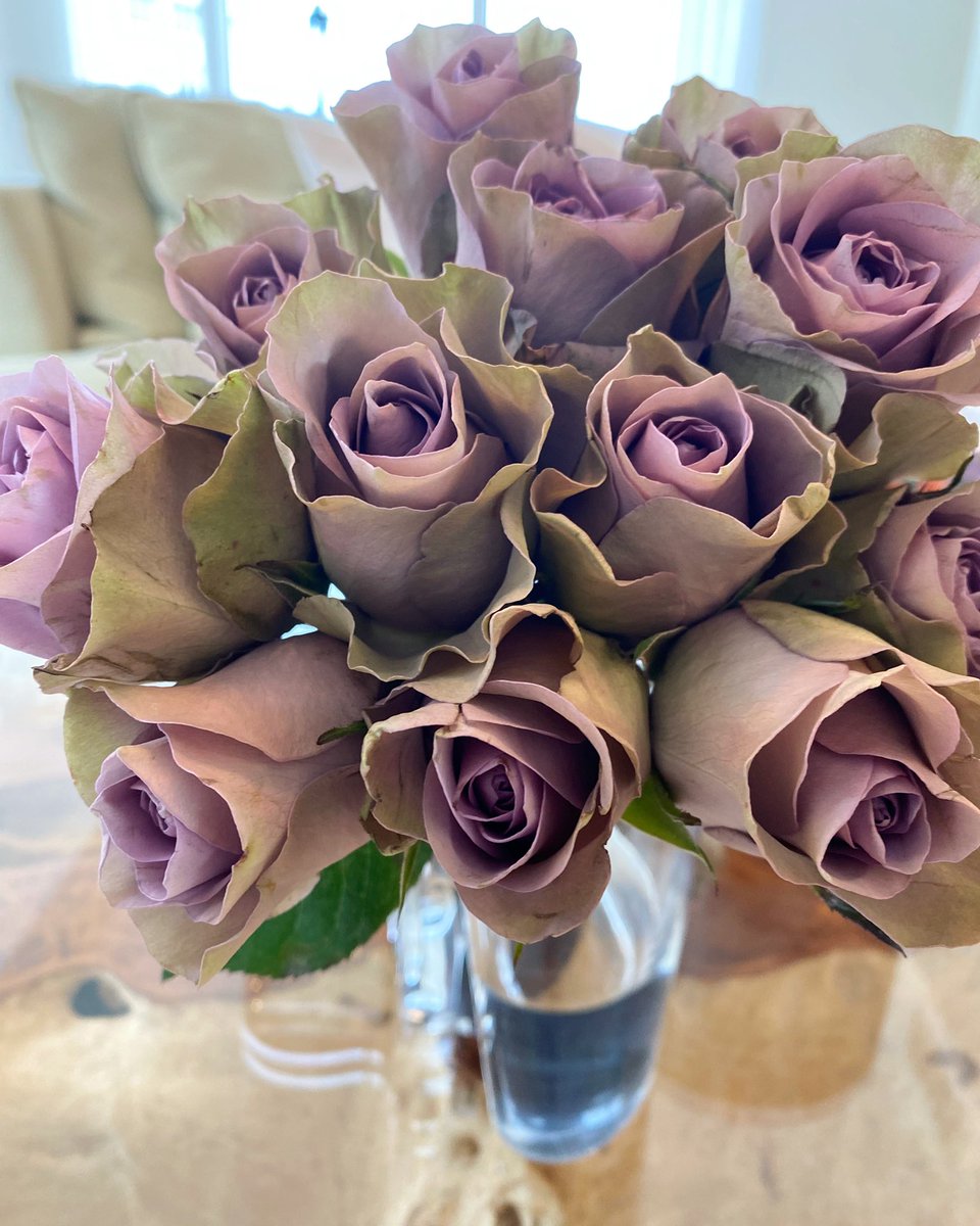 Self-care isn’t just getting a massage, going to a hair salon or getting a facial. However, the real work can be done through less expected actions. 

You become what you surround yourself with. Choose them carefully. Surround yourself with people who allow you to #blossom.