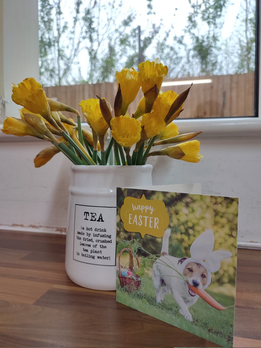 SIS_Dane_House tweet media