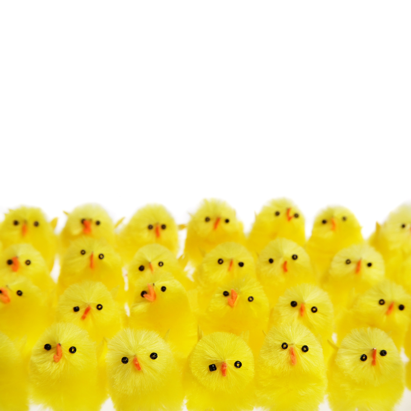 orderingstack's tweet image. Happy Easter!!!