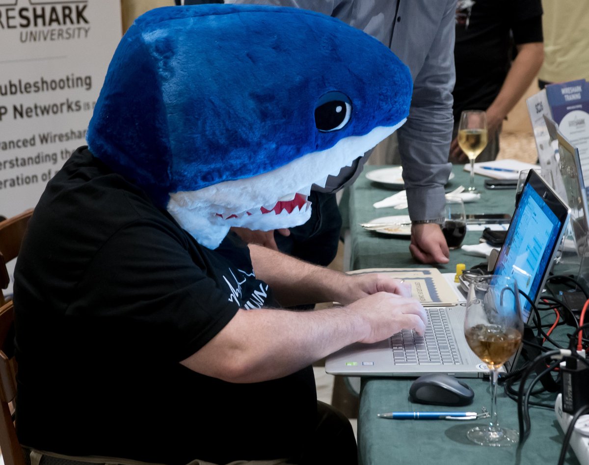 Shark learning Wireshark! 