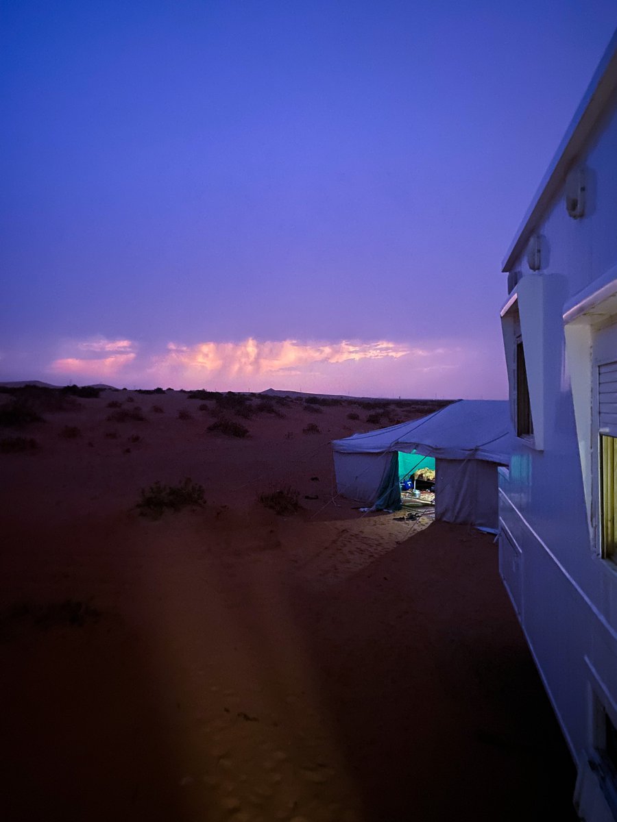 i___3b's tweet image. صورتها اليوم عند الإبل 🐪 :