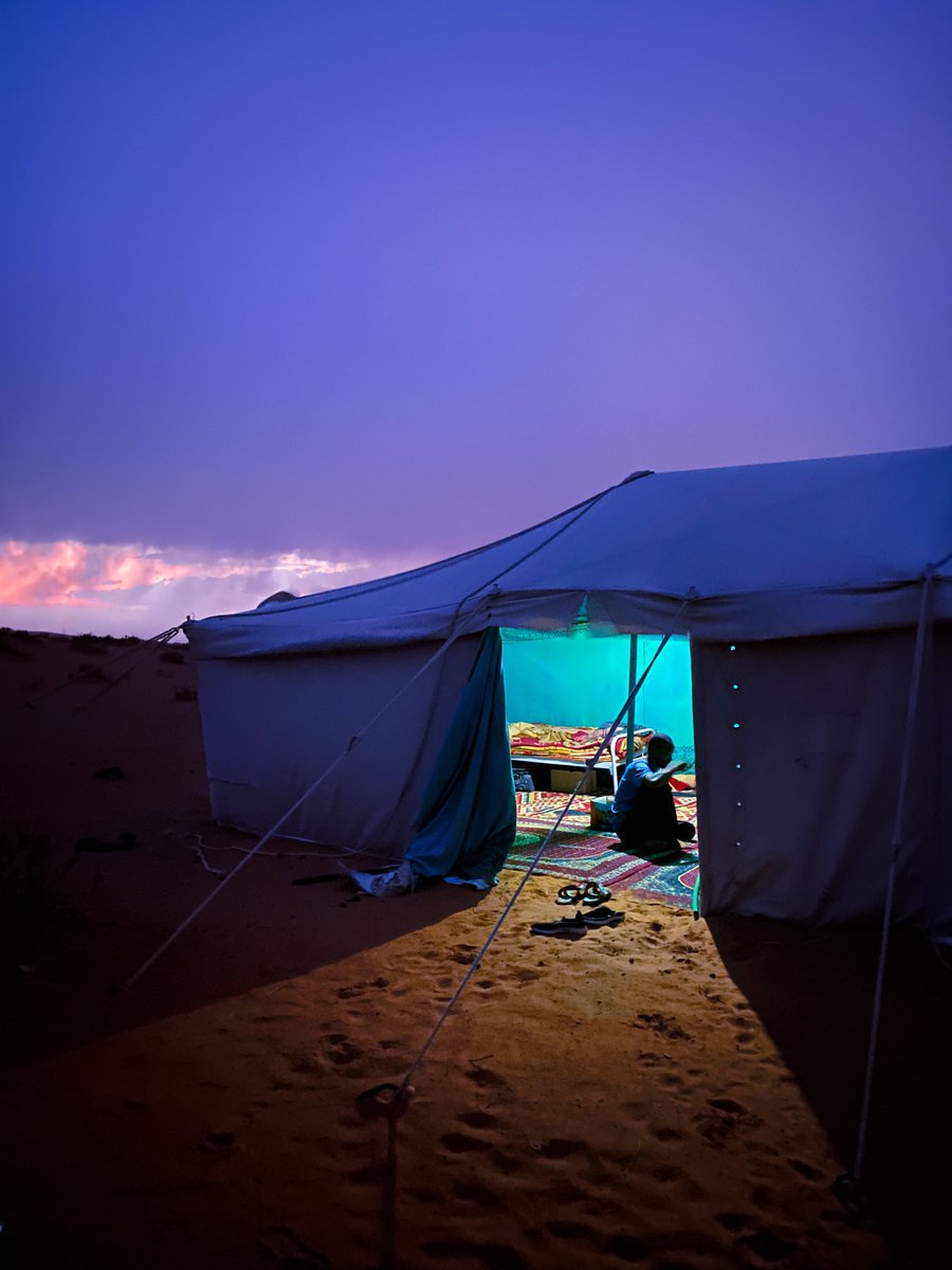 i___3b's tweet image. صورتها اليوم عند الإبل 🐪 :