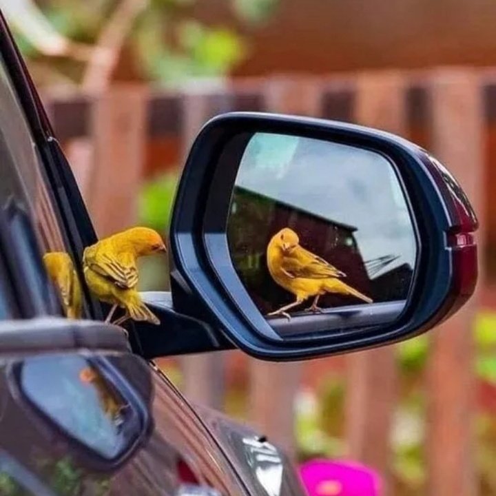 #صورة_ملف_شخصي_جديدة