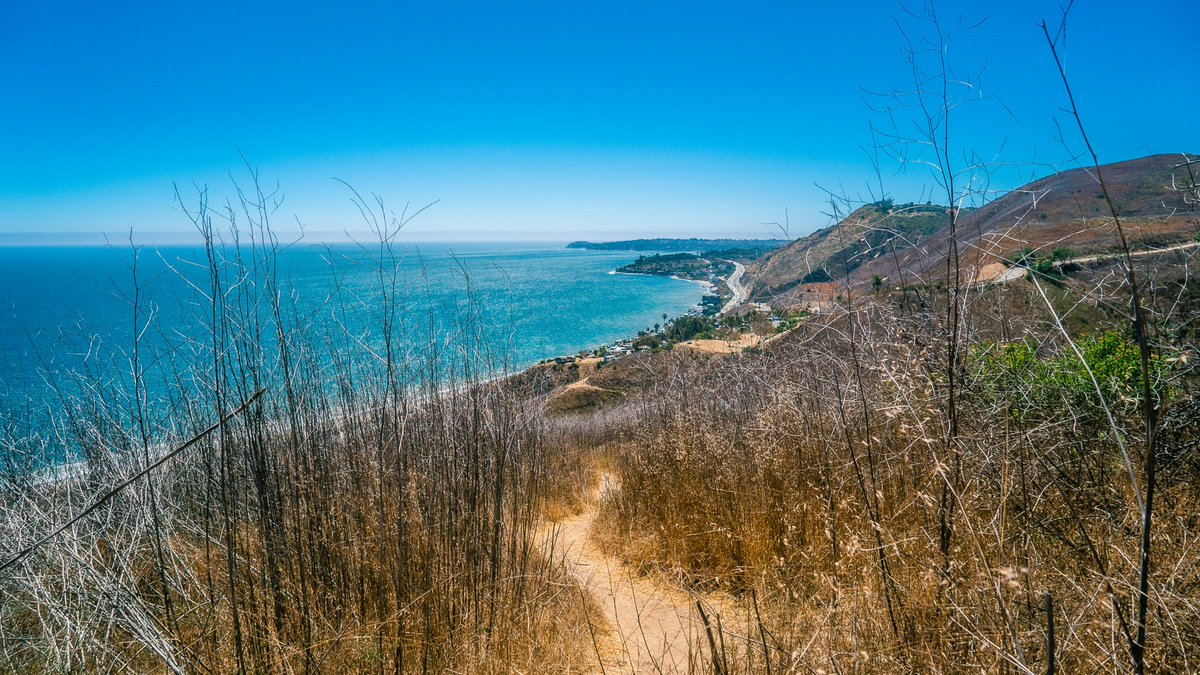 DadaPresets's tweet photo. 💙 We love vibrant and blue tones of our new presets collection "Los Angeles Landscape". #LosAngeles #CaliforniaAdventure #lightroompreset #Filter #landscape #editing #Edit #Edits #photographyislife 

Enjoy these presets : https://t.co/z99evPW1vO https://t.co/PCZFtpBQ3g
