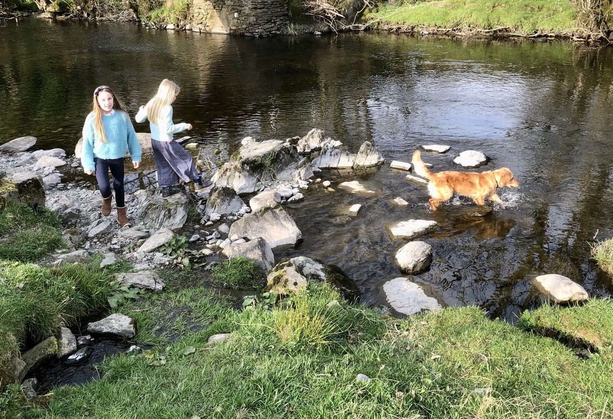 Tom Waterton tweet media