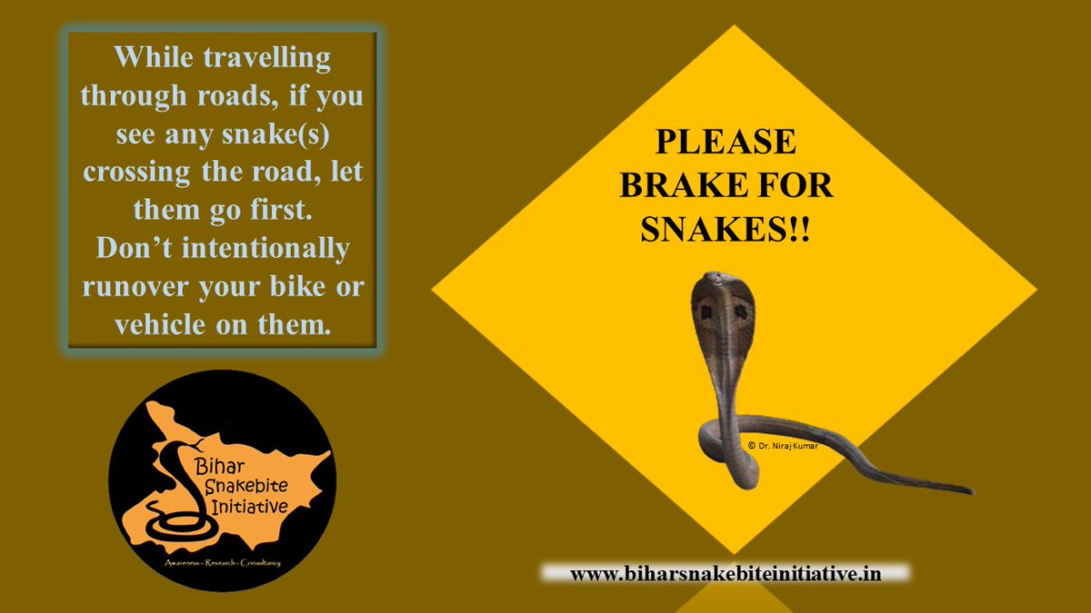 BHSnakebiteInit's tweet photo. Brake for Snakes
#BrakeForSnakes when you see any serpent while travelling through the roads. @ https://t.co/0zcJKskD0K
