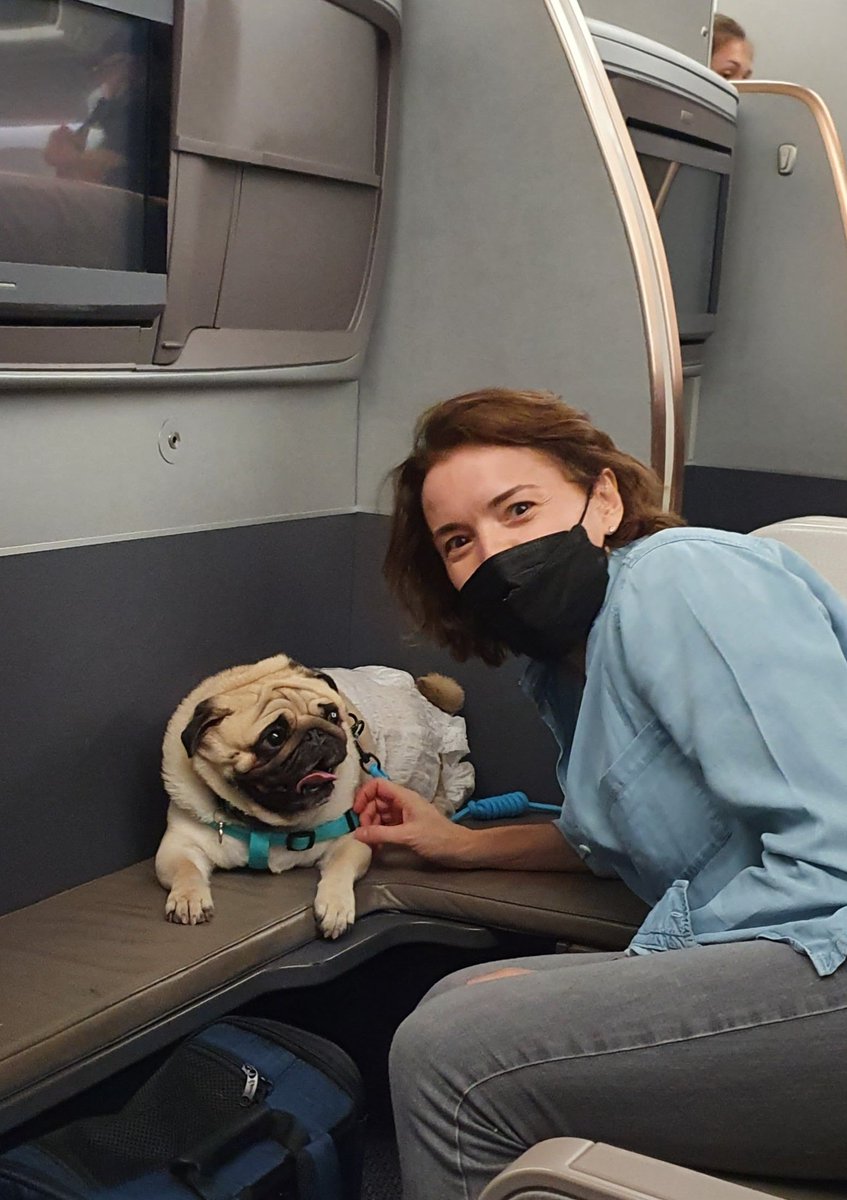 Kimberly Kline 🏔 tweet media