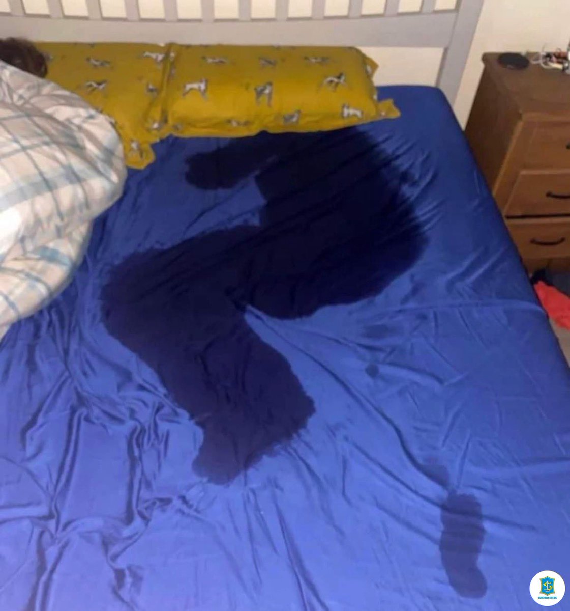 sbyfess's tweet image. -rek surabaya right now