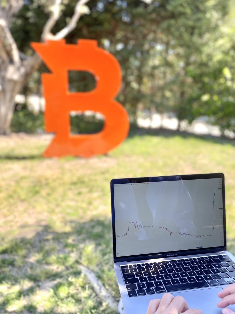 muratof6161's tweet image. #ComeToBitci @bcagdascaglar @onuraltantan