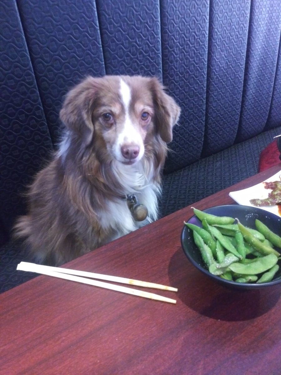 Where is my sake!