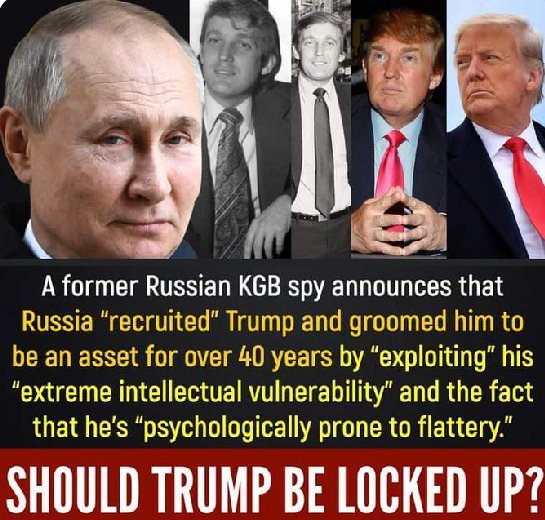 DemocraticDaisy's tweet image. 