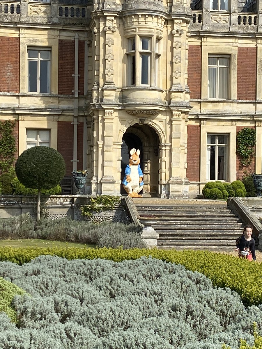 Saw a bunny <a href="/SomerleytonHall/">Somerleyton Hall</a> today. Fantastic Easter Egg hunt in a magical setting.