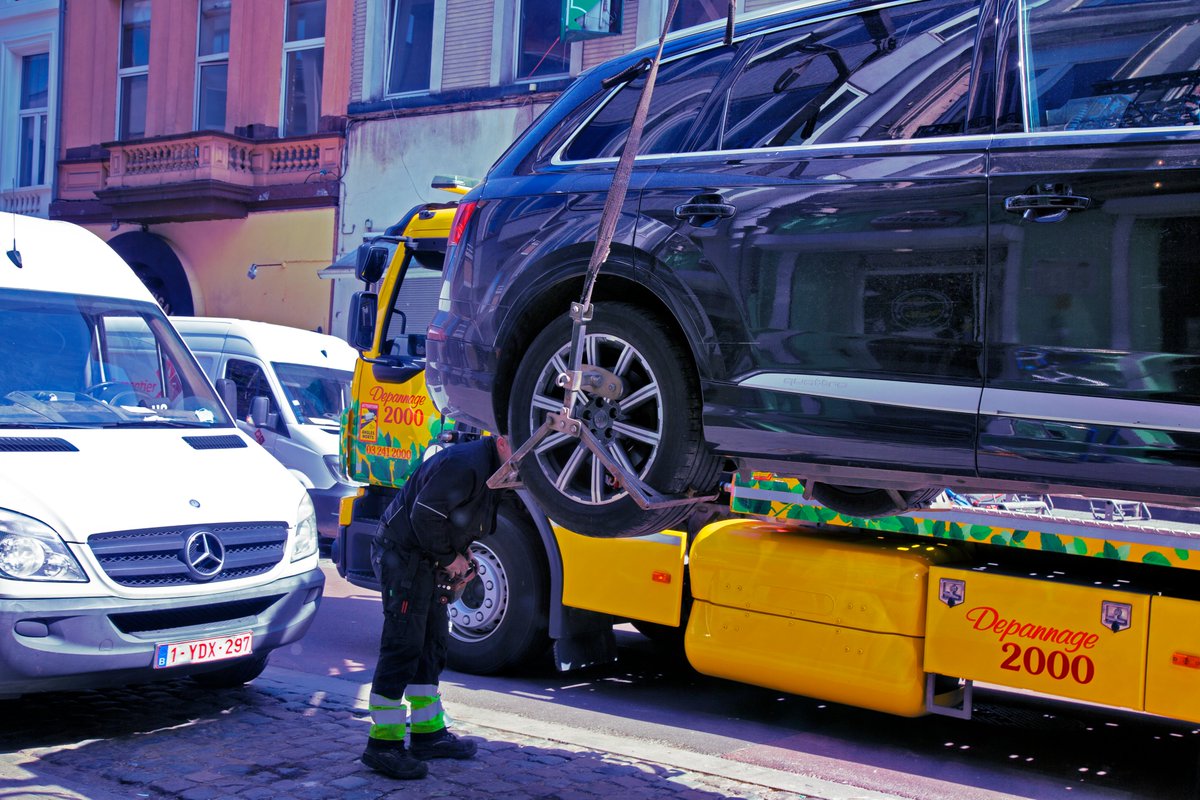 Hi #NFTCommunity  #nftphotography 
365 days from my windows, Day 198! 
I post every day 1 image since Sep. 2021 
What if one day u have a chance to c the same view.
Happy Friday U2
opensea.io/assets/0x495f9…
#nftcollectors  #NFTs