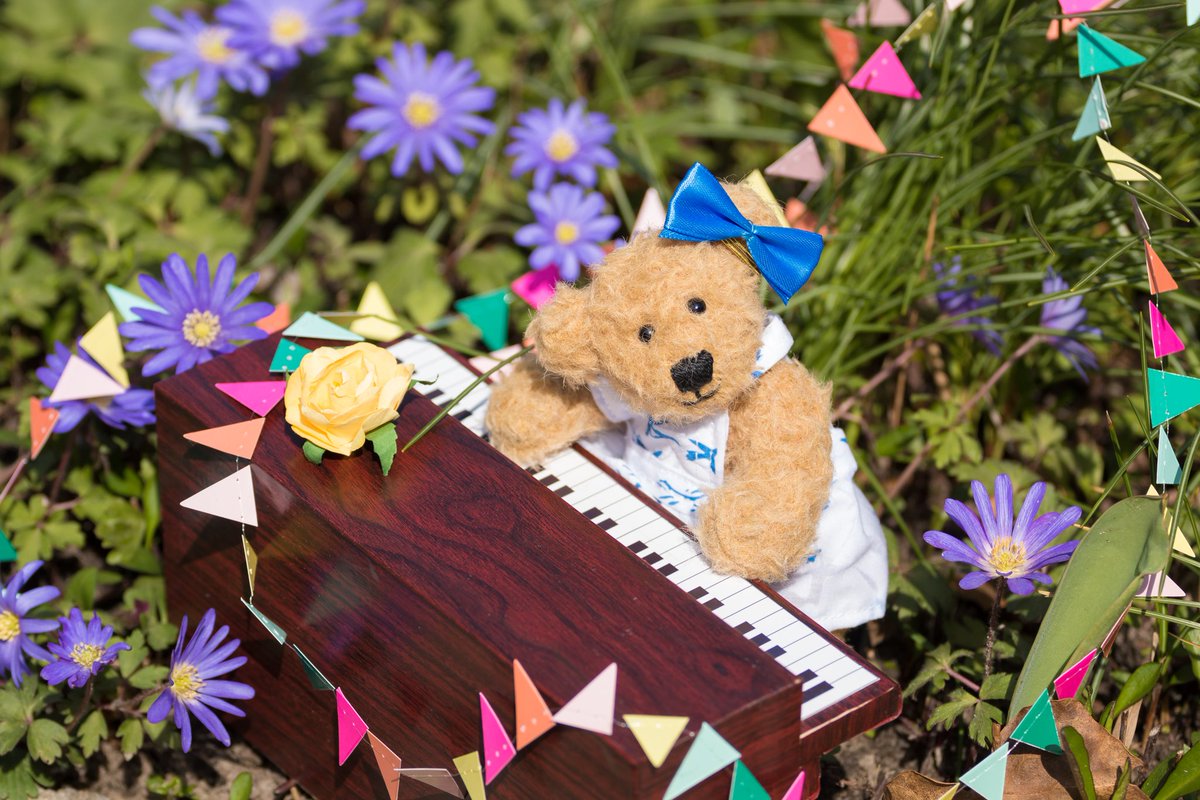 We are still celebrating my brother's birthday. Any song requests?