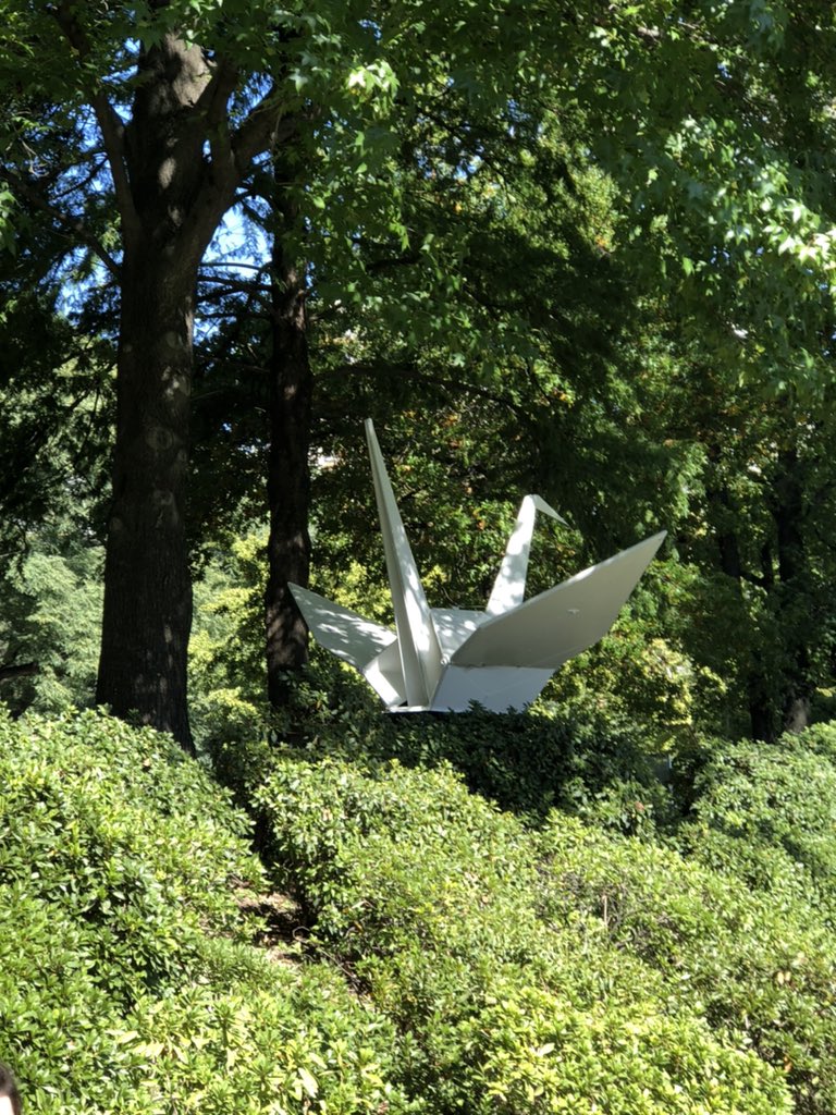 jjtl18's tweet photo. How do I explain to my mom that I know about the 1000000 paper crane legend because of a dramione book? https://t.co/3w0Hx57vMZ