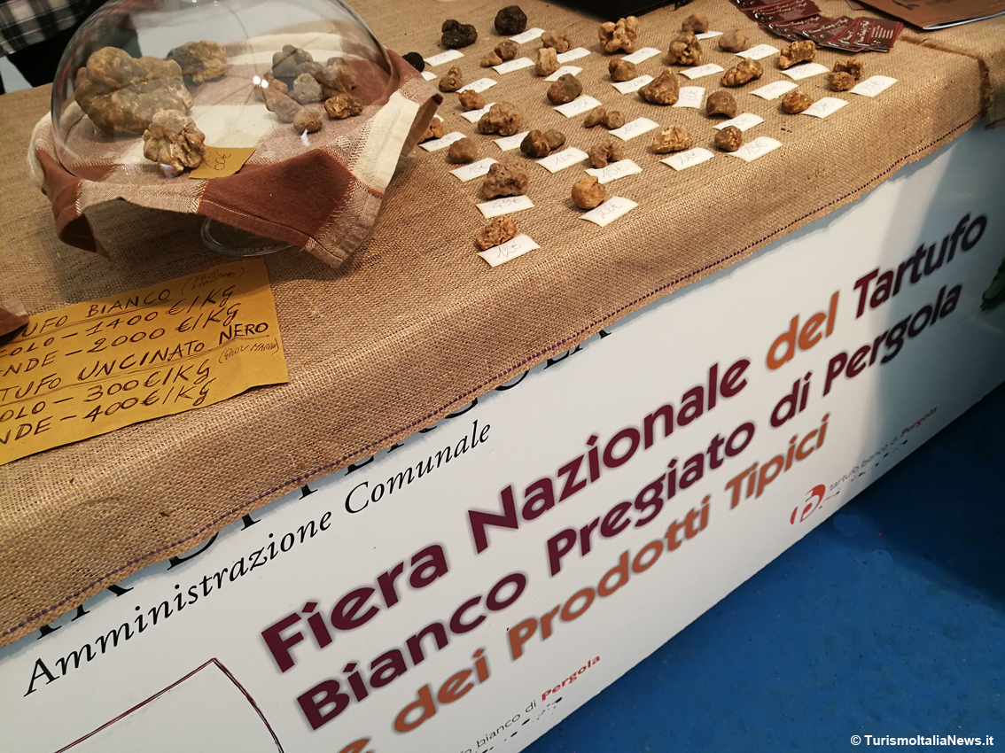 TurismoItaliaNw's tweet photo. Le 100 Miglia del Gusto attraverso la terra marchigiana: il Tartufo Bianco pregiato di Pergola si lega all’Aci per la promozione del territorio
Leggi la notizia https://t.co/IMfMaYcSvA
#Pergola #tartufo #marche #destinazionemarche #AutomobilClub #turismo #Bit2022 @MarcheTourism https://t.co/2AuhCIQ16r