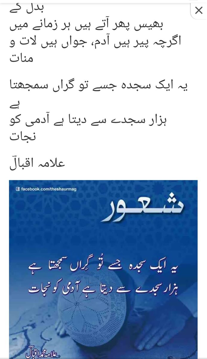 Mohammad salim (@mohamma88446255) on Twitter photo 