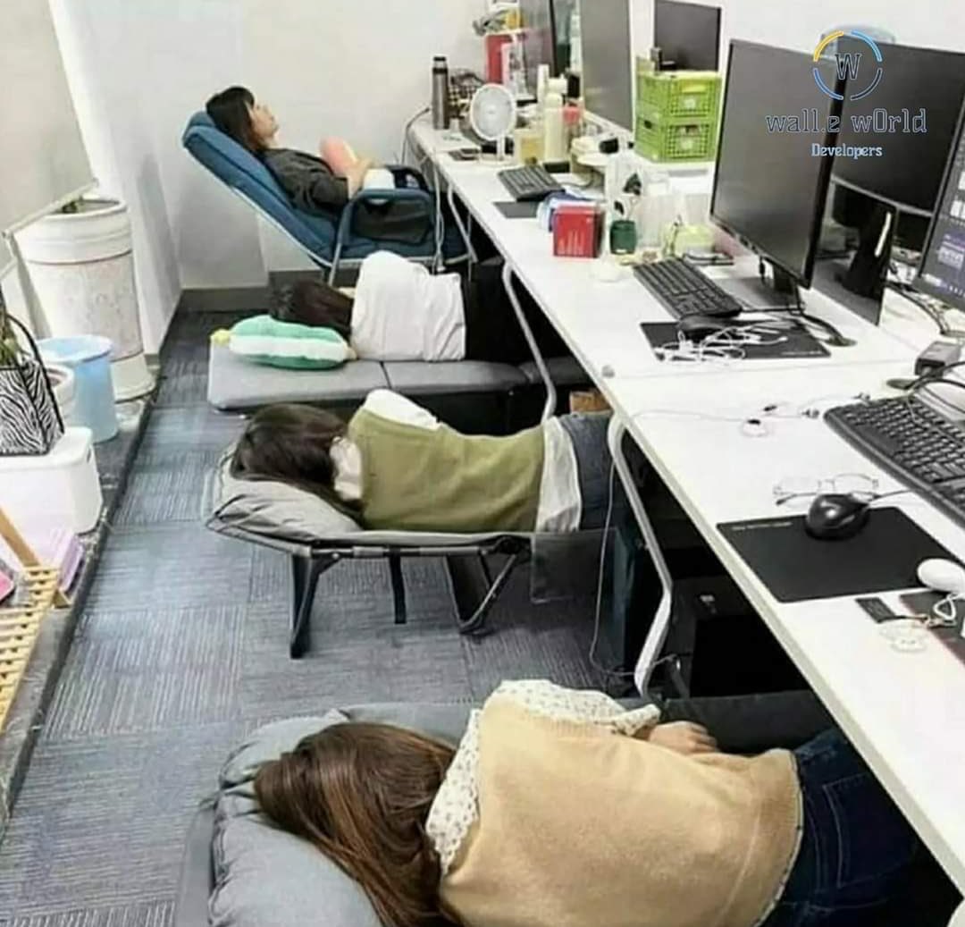 GuillermoGrnch's tweet photo. Ofrecemos:
-Excelente ambiente laboral.
-Receso de 01:00 (una hora) después de la comida para abatir la somnolencia postpandrial. https://t.co/GeR1pL1Gzm