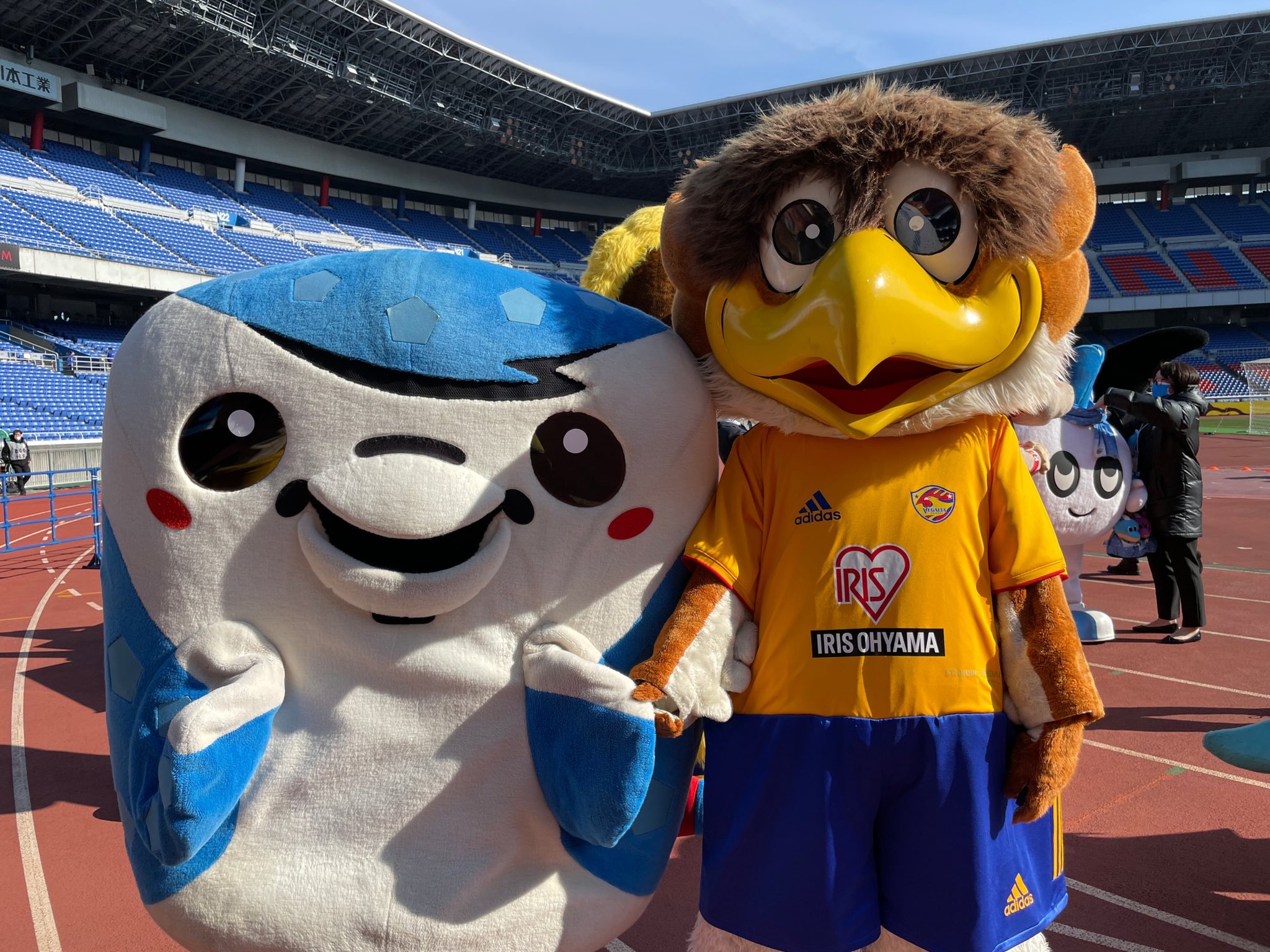 ジンベーニョ Fc琉球公式マスコット Jinbe Nho Twitter