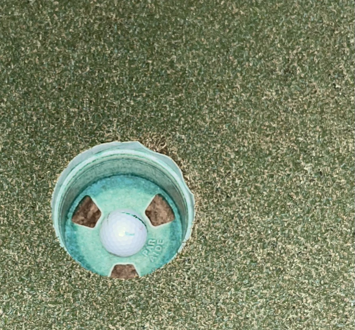 Beau Perry tweet media