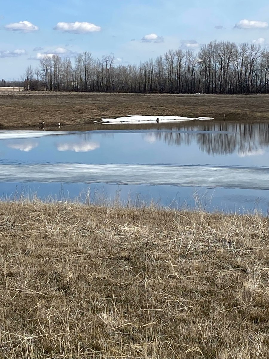 hollyrholland's tweet photo. Feeling grateful for the sunshine ☀️ and blue skies. #walkingtrail #reflections #meditate #feelingFriday #walkingwithintention https://t.co/fow187ggUM