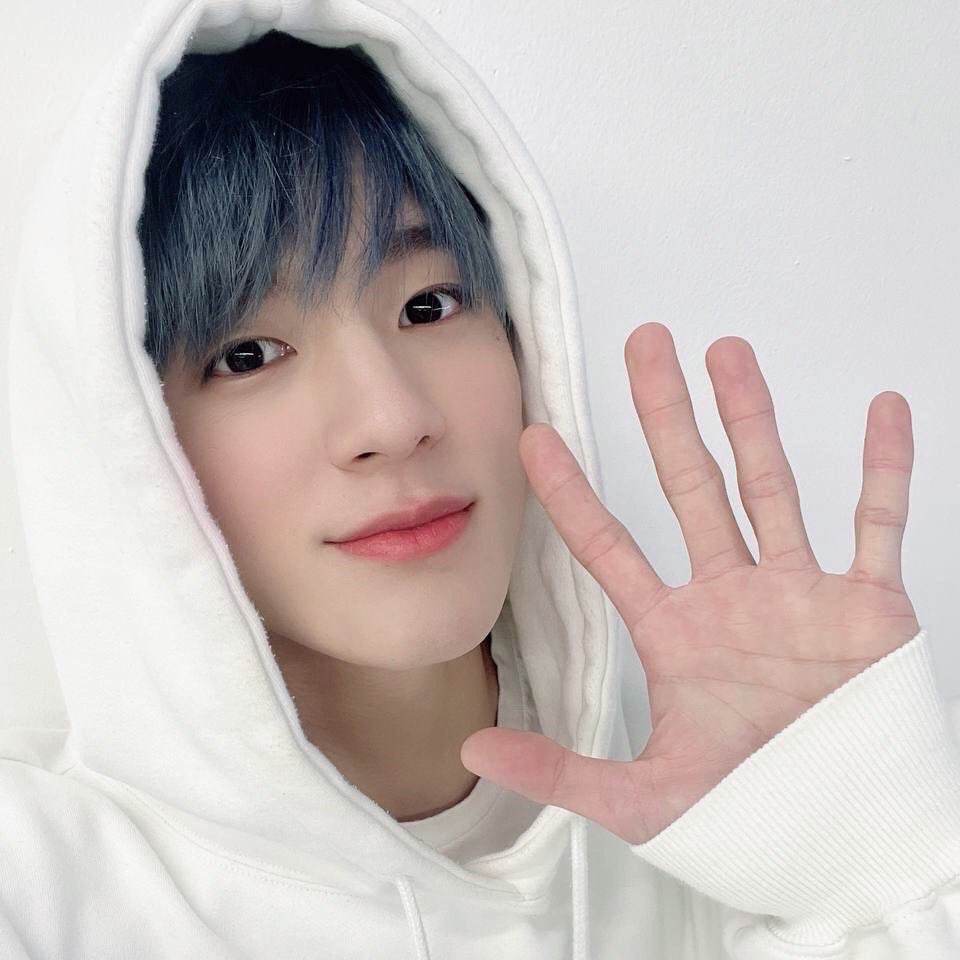 0s_s02's tweet photo. ฮู้ดตัวเก่งของเจน่อ อัยยู้กม๋าาาฮื่อเร้กๆๆคับ🥺🐶🐾🌟💙💗 https://t.co/5p85HSWZiE