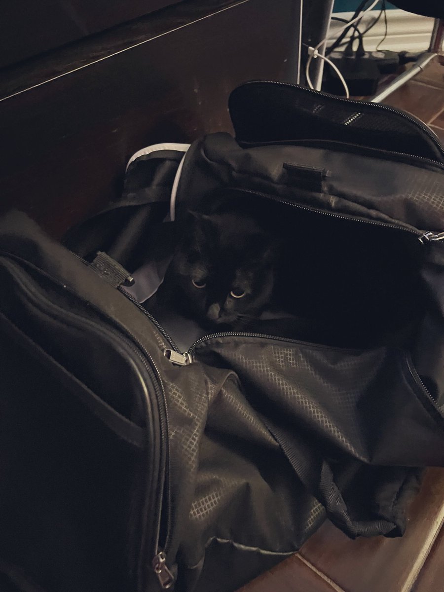 Packing up to take students from <a href="/NewTechCoppell/">New Tech High @ Coppell</a> @NTHC_DECA to #DECAAICDC tomorrow and my cat does not want me to go. She knows when the duffle bag comes out dad’s going on a trip 🥺😅